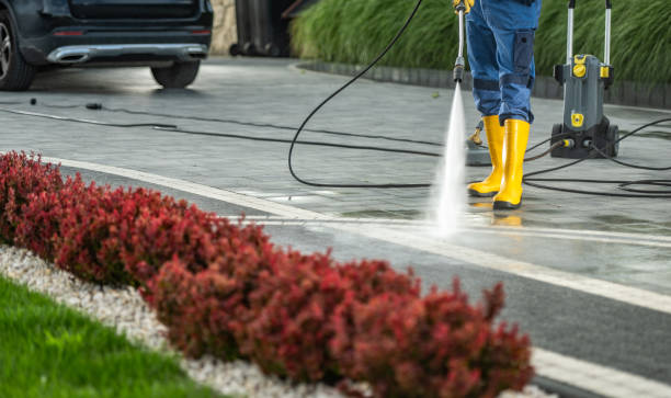Animal Enclosure Cleaning in Russellville, AL